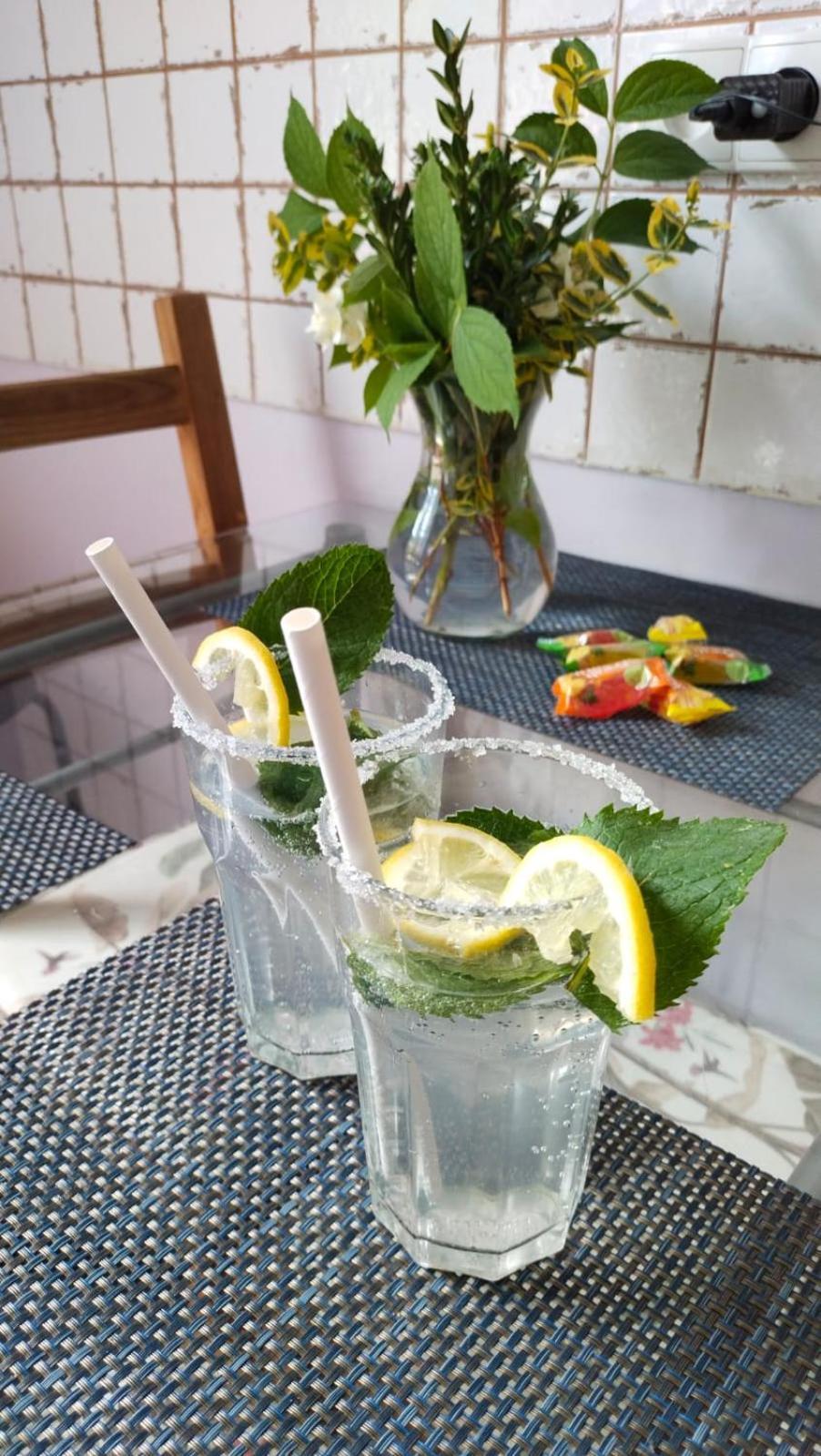 Retro & Garden Hostel